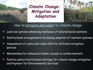 The Amazon Eco-Regional Research Program