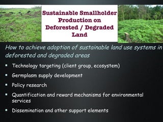 The Amazon Eco-Regional Research Program