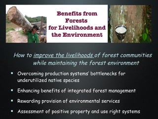 The Amazon Eco-Regional Research Program