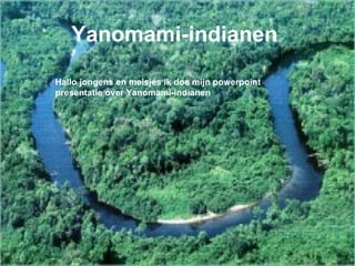 Yanomami-indianen   Hallo jongens en meisjes ik doe mijn powerpoint presentatie over Yanomami-indianen   