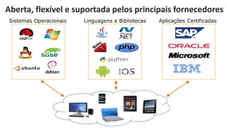 Aberta, flexível e suportada pelos principais fornecedores
Sistemas Operacionais

Linguagens e Bibliotecas

Aplicações Certificadas

 