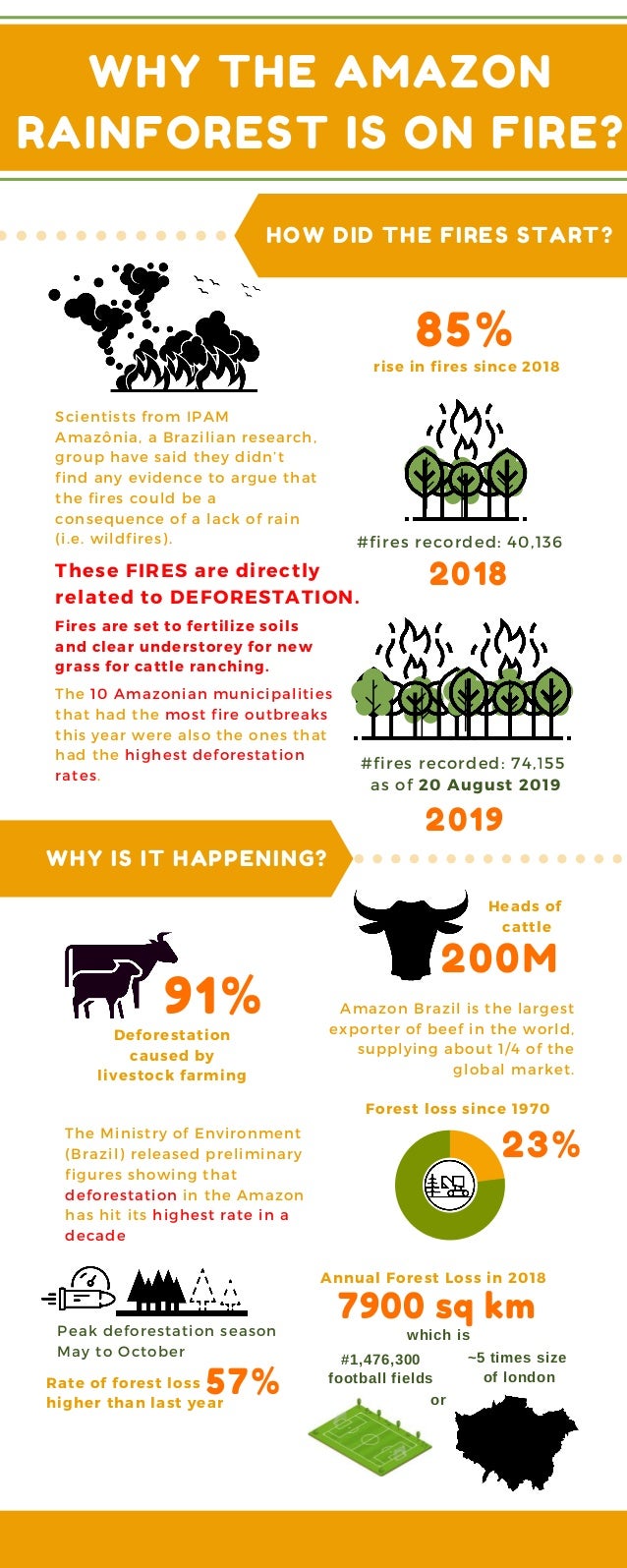 Info Graphic On Understanding The Amazon Rain Forest Fire 19 Info Graphic On Understanding The Amazon Rain Forest Fire 19