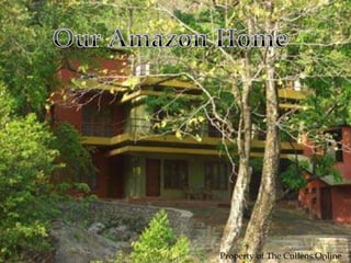 Our Amazon Home Property of The Cullens Online 