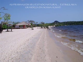 AS PRAINHAS EM SEU ESTADO NATURAL... ESTIMULAM A GRANDEZA DA NOSSA ALMA!!! 