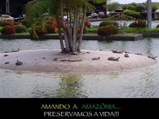 AMANDO  A  AMAZÔNIA...  PRESERVAMOS A VIDA!!! 