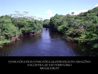 3,3 MILHÕES DOS 5,5 MILHÕES QUADRADOS DA AMAZÔNIA ENCONTRA-SE EM TERRITÓRIO BRASILEIRO!!! 