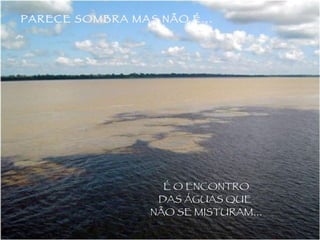 É O ENCONTRO DAS ÁGUAS QUE  NÃO SE MISTURAM... PARECE SOMBRA MAS NÃO É... 