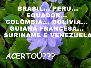 BRASIL... PERU... EQUADOR...  COLÔMBIA... BOLÍVIA...  GUIANA FRANCESA...  SURINAME E VENEZUELA ACERTOU??? 