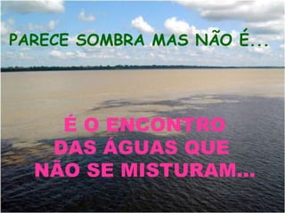 É O ENCONTRO DAS ÁGUAS QUE  NÃO SE MISTURAM... PARECE SOMBRA MAS NÃO É... 