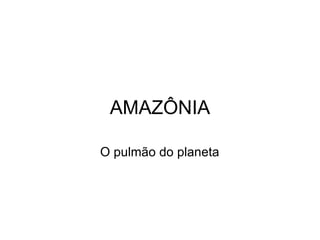 AMAZÔNIA O pulmão do planeta 