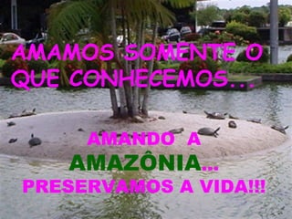 AMAMOS SOMENTE O QUE CONHECEMOS... AMANDO  A  AMAZÔNIA ... PRESERVAMOS A VIDA!!! 