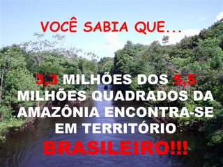 3,3  MILHÕES DOS  5,5  MILHÕES QUADRADOS DA AMAZÔNIA ENCONTRA-SE EM TERRITÓRIO BRASILEIRO!!! VOCÊ SABIA QUE...   