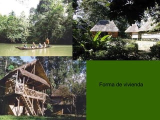 Forma de vivienda 