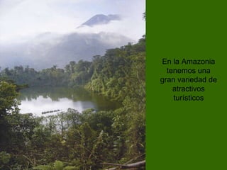 En la Amazonia tenemos una gran variedad de atractivos turísticos 