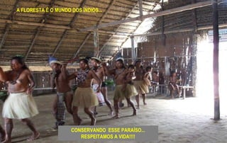 A FLORESTA É O MUNDO DOS ÍNDIOS...
CONSERVANDO ESSE PARAÍSO...
RESPEITAMOS A VIDA!!!!
 