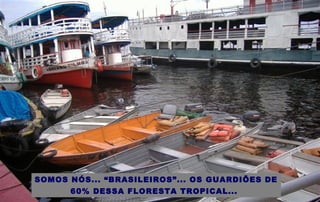SOMOS NÓS... “BRASILEIROS”... OS GUARDIÕES DE
60% DESSA FLORESTA TROPICAL...
 