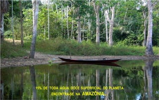 15% DE TODA ÁGUA DOCE SUPERFICIAL DO PLANETA
ENCONTRA-SE NA AMAZÔNIA...
 