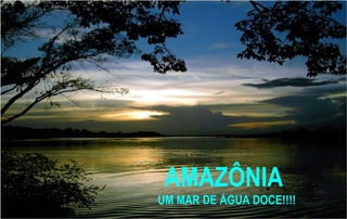 AMAZÔNIA
UM MAR DE ÁGUA DOCE!!!!
 