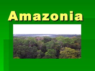 Amazonia 