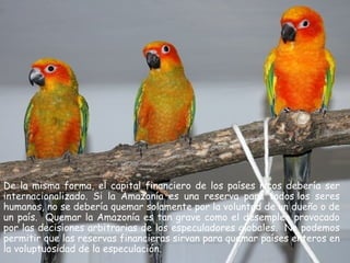 De la misma forma, el capital financiero de los países ricos debería ser
internacionalizado. Si la Amazonía es una reserva para todos los seres
humanos, no se debería quemar solamente por la voluntad de un dueño o de
un país. Quemar la Amazonía es tan grave como el desempleo provocado
por las decisiones arbitrarias de los especuladores globales. No podemos
permitir que las reservas financieras sirvan para quemar países enteros en
la voluptuosidad de la especulación.
 