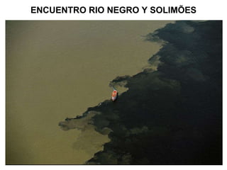 ENCUENTRO RIO NEGRO Y SOLIMÕES 