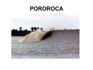 POROROCA 
