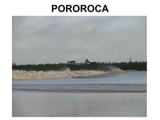 POROROCA 