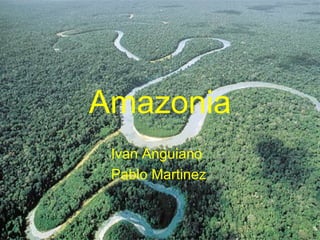 Amazonia
 Ivan Anguiano
 Pablo Martinez
 