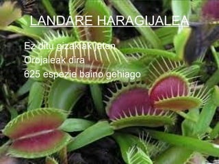 LANDARE HARAGIJALEA
• Ez ditu gizakiak jaten
• Orojaleak dira
• 625 espezie baino gehiago
 