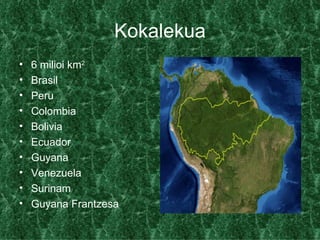 Kokalekua
•   6 milioi km2
•   Brasil
•   Peru
•   Colombia
•   Bolivia
•   Ecuador
•   Guyana
•   Venezuela
•   Surinam
•   Guyana Frantzesa
 