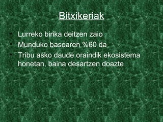 Bitxikeriak
• Lurreko birika deitzen zaio
• Munduko basoaren %60 da
• Tribu asko daude oraindik ekosistema
  honetan, baina desartzen doazte
 