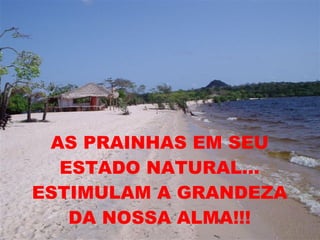 AS PRAINHAS EM SEU ESTADO NATURAL... ESTIMULAM A GRANDEZA DA NOSSA ALMA!!! 