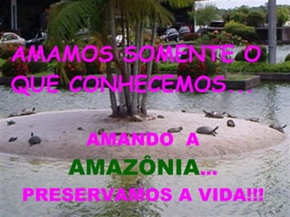 AMAMOS SOMENTE O QUE CONHECEMOS... AMANDO  A  AMAZÔNIA ... PRESERVAMOS A VIDA!!! 