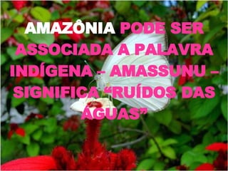 AMAZÔNIA  PODE SER ASSOCIADA A PALAVRA INDÍGENA – AMASSUNU – SIGNIFICA “RUÍDOS DAS ÁGUAS” 
