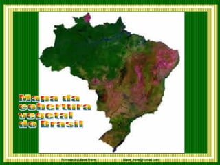 Mapa da  cobertura  vegetal  do Brasil  