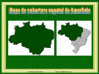 Mapa da cobertura vegetal da Amazônia      