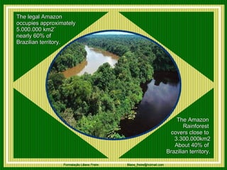 The legal Amazon  occupies approximately  5.000.000 km2¨ nearly 60% of  Brazilian territory. The Amazon  Rainforest  covers close to  3.300.000km2 About 40% of  Brazilian territory.   