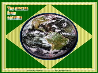 The amazon  from  satellite 