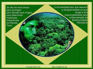 Já não há mais tempo  para prorrogar  uma decisão que chegou para determinar  mudanças  irreversíveis  no Planeta  Terra. A Humanidade tem que assumir  a obrigatoriedade no que  tange à sua  responsabilidade para  a Manutenção da  Biodiversidade  Planetária. 