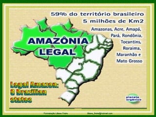 Legal Amazon:  8 Brazilian  states 