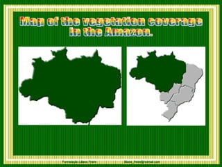 Map of the vegetation coverage  in the Amazon.     