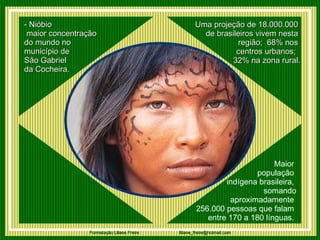 - Nióbio  maior concentração  do mundo no município de  São Gabriel  da Cocheira. Uma projeção de 18.000.000  de brasileiros vivem nesta  região;  68% nos  centros urbanos;   32% na zona rural. Maior  população  indígena brasileira,  somando aproximadamente  256.000 pessoas que falam  entre 170 a 180 línguas.  