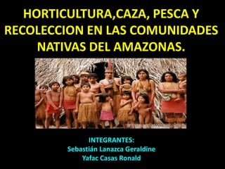 HORTICULTURA,CAZA, PESCA Y
RECOLECCION EN LAS COMUNIDADES
NATIVAS DEL AMAZONAS.
INTEGRANTES:
Sebastián Lanazca Geraldine
Yafac Casas Ronald
 