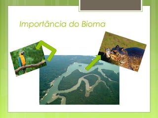 Importância do Bioma
 