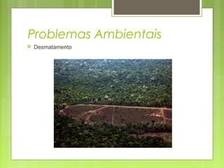 Problemas Ambientais
 Desmatamento
 