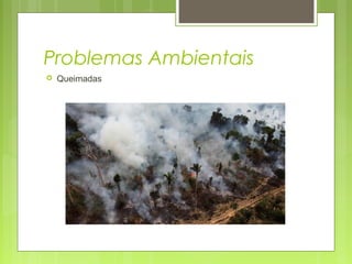 Problemas Ambientais
 Queimadas
 