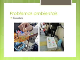 Problemas ambientais
 Biopirataria
 