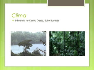 Clima
 Influencia no Centro Oeste, Sul e Sudeste
 