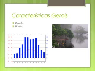 Características Gerais
 Quente
 Úmida
 