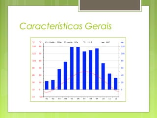 Características Gerais
 